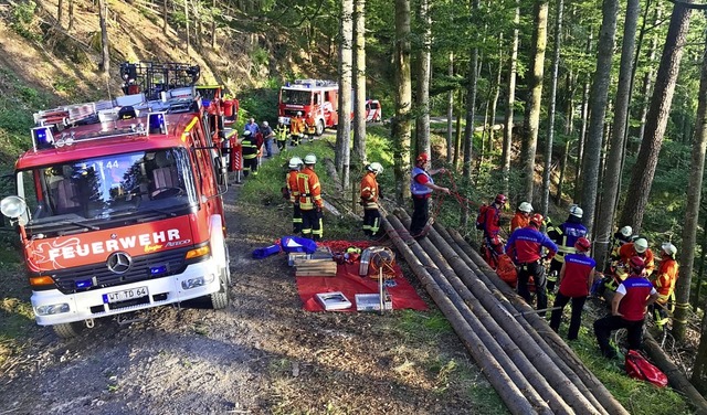 Die Feuerwehren aus Herrischried und T... Todtmoos bei einer gemeinsamen bung.  | Foto: Bergwacht Todtmoos