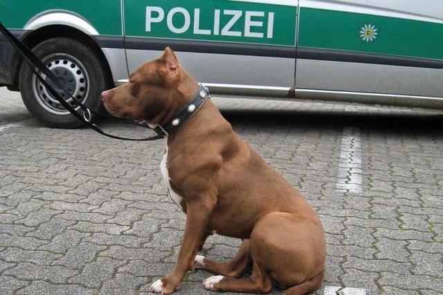 Polizisten erschieen Kampfhund in Offenburg auf offener Strae