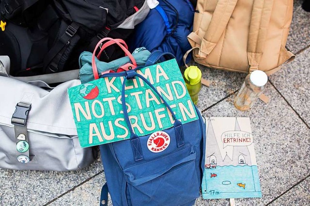 Viele Demonstrantinnen und Demonstrant...azu auf, den Klimanotstand auszurufen.  | Foto: Rolf Vennenbernd (dpa)