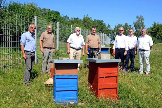 Sechs Bienenvlker haben jetzt einen P...ller, Ralf Jannusch und Manfred Kraft.  | Foto: Endrik Baublies