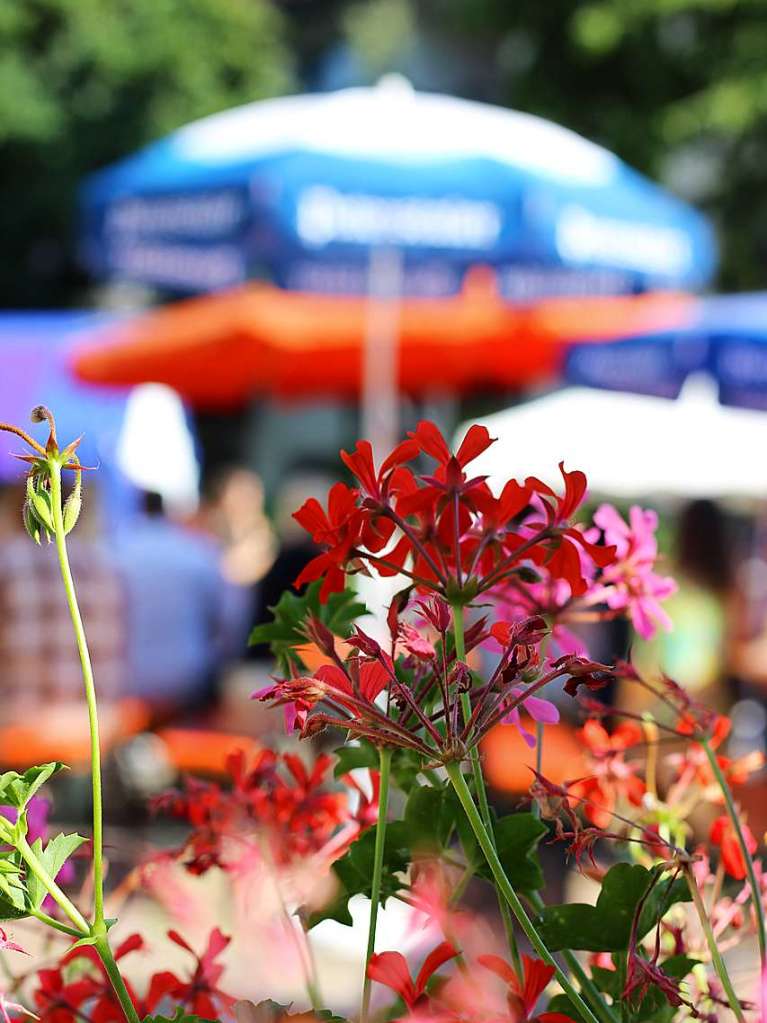 Gute Stimmung bei hochsommerlichen Temperaturen: Bei der diesjhrigen School’s-Out-Party auf dem Bad Sckinger Rudolf-Eberle-Platz amsierten sich Gro und Klein und fieberten dem baldigen Schulende entgegen.