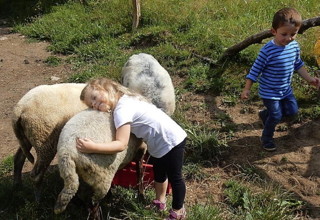 Schafe und Kinder genieen den vertrauten Umgang miteinander.  | Foto: Kurt Meier