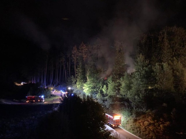 Einen groen Wald- und Flchenbrand hat es in der Nacht gegeben.  | Foto: Feuerwehr Bad Sckingen