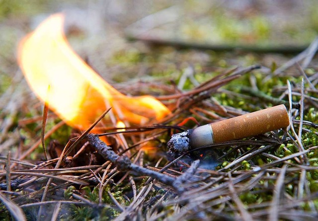 Eine achtlos weggeworfene Zigarette ka...en innerhalb krzester Zeit entznden.  | Foto: Patrick Pleul