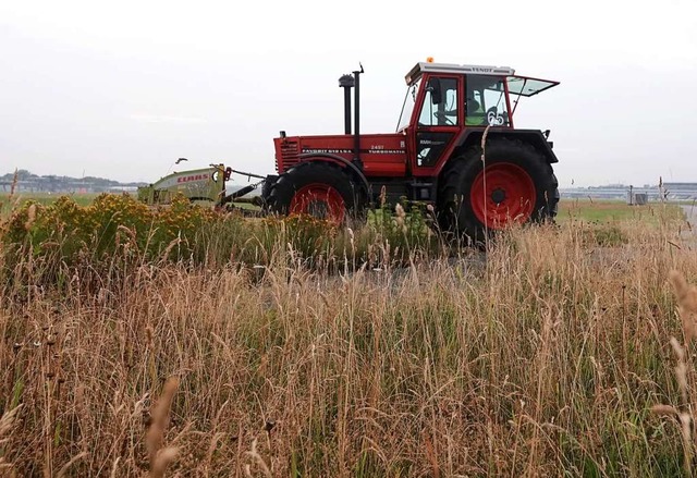 Das Heu war eingebracht, als der Heuboden unter dem Traktor zusammenbrach.   | Foto: Regina Wank (dpa)