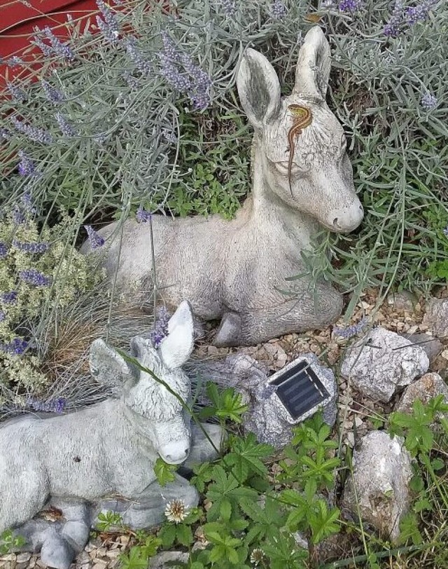 Auf dem kopf dieser Esel-Statue macht eine kleine Eidechse rast.  | Foto: Rosi Faatz