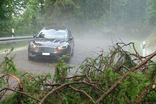 Starkregen, Sturm und Hagel sorgen fr Groeinsatz der Feuerwehr