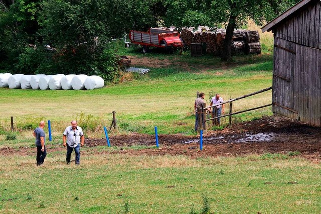 Die Weide, auf der der Stier die beiden Landwirte attackierte.  | Foto: Alexander Auer (dpa)