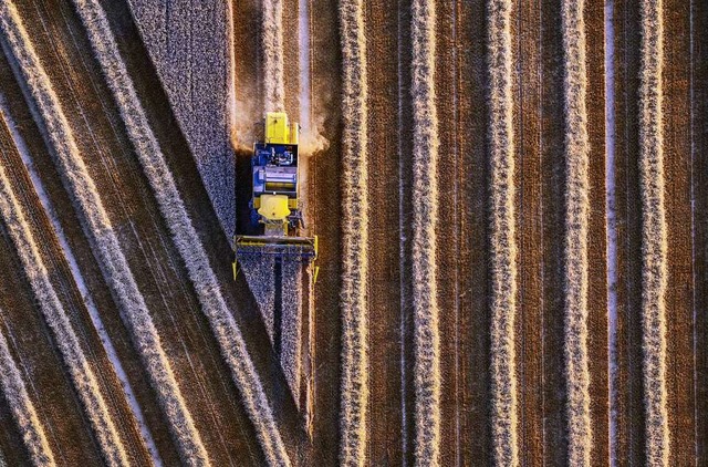 Weizenernte in Nordrhein-Westfalen  | Foto: Volker Lannert (dpa)