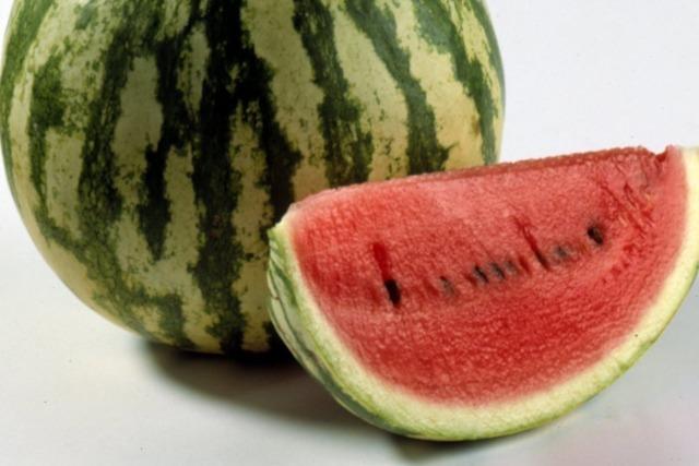 Landwirt baut in Bad Krozingen-Tunsel Melonen an