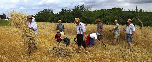 Ernte wie frher: Die Narrenzunft Bachdatscher pflegen altes Handwerk.   | Foto: Reiner Merz