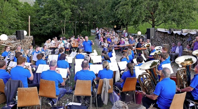 Das MVO-Konzert am Wasser, unter Leitu...esucht und kam bei den Gsten gut an.   | Foto: Horst Dauenhauer