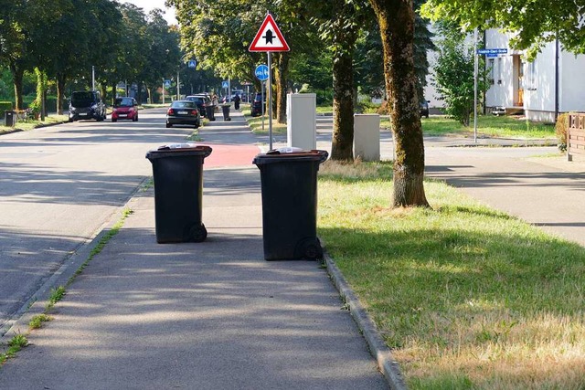 Echter Parcours mit Mlltonnen: Unser ...zeigt den Radweg in der Mmattstrae.  | Foto: Elena Borchers