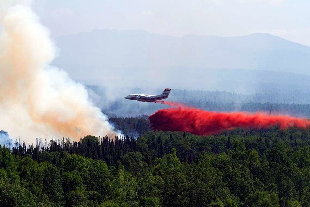 Nach Behrdenangaben vom Montag gingen... Millionen Hektar Land in Flammen auf.  | Foto: Michael Risinger (dpa)