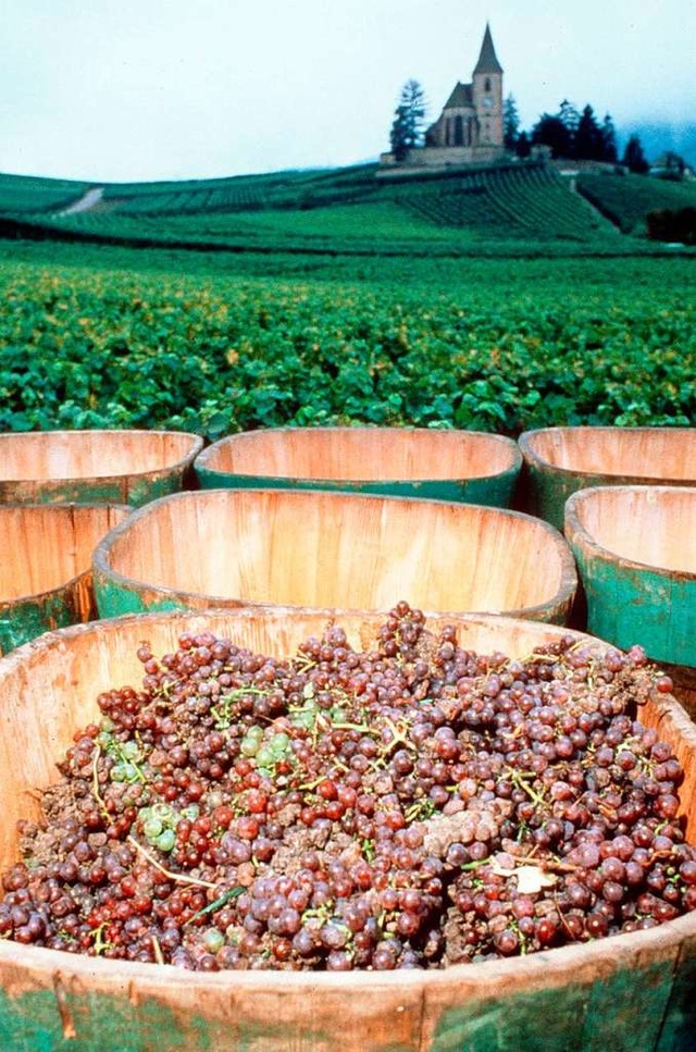 Wichtiges Exportgut fr Frankreich: der Wein.   | Foto: Franzsisches Fremdenverkehrsamt
