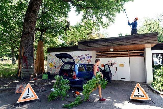 Der Neubau der Freiburger Schule Kapriole beginnt mit einem Abriss