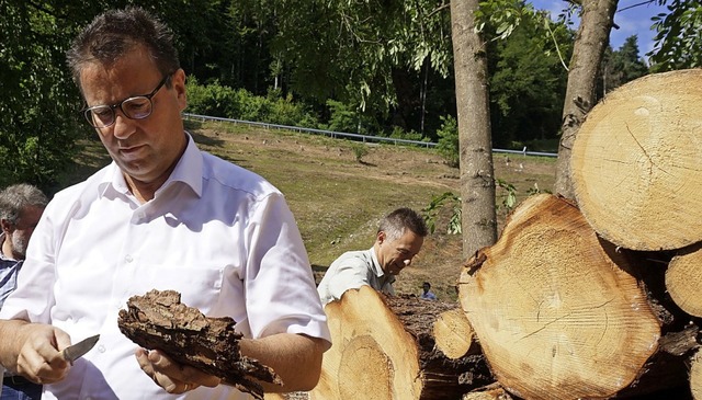 Forstminister Peter Hauk macht sich ein Bild von den befallenen Bumen.  | Foto: Werner Steinhart