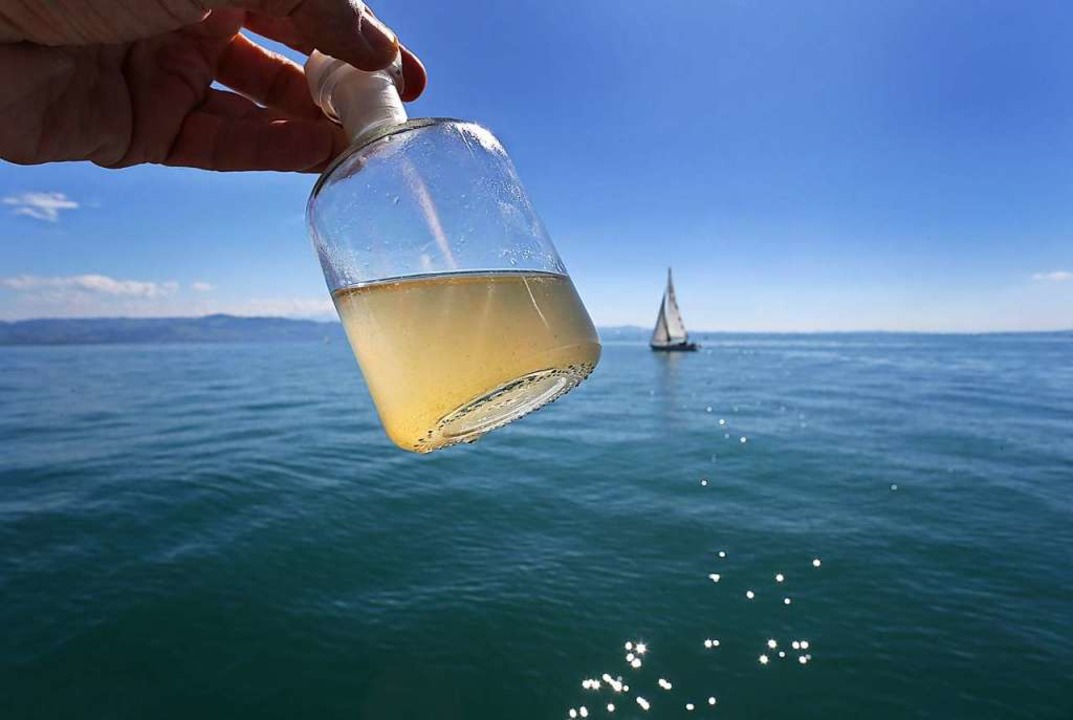 Wasserprobe mit tierischem Plankton  | Foto: Karl-Josef Hildenbrand (dpa)