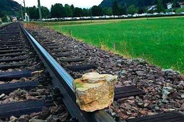 Teils kiloschwer: Die Steine, de Unbek... die Gleise der Mnstertalbahn legten.  | Foto: SWEG