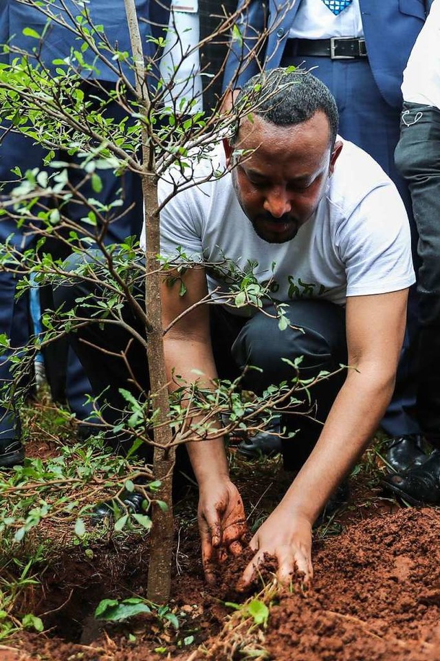 Regierungschef Abiy Ahmed beim Pflanzen eines Baumes  | Foto: privat
