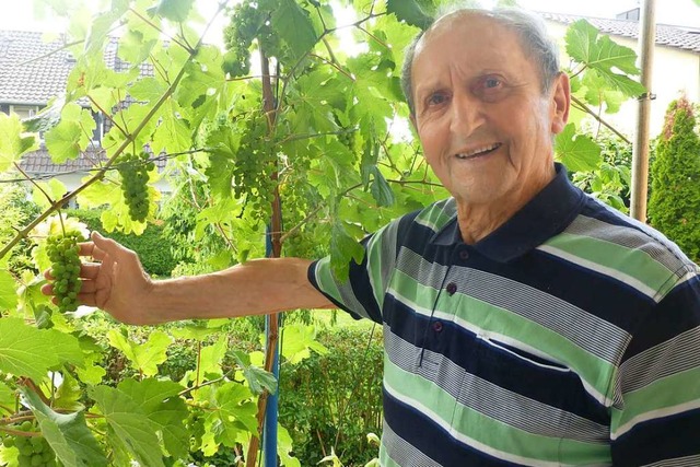 Willi Bechtold freut sich,dass die Johanniter-Trauben in seinem Garten gedeihen.  | Foto: Andrea Gallien