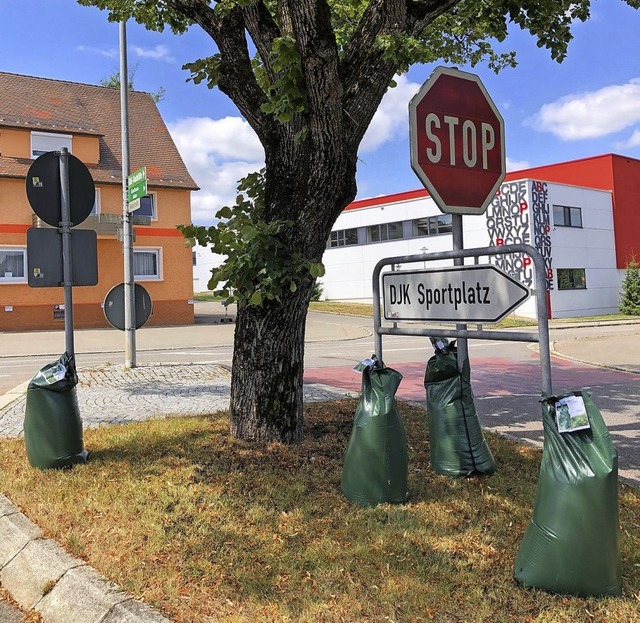 Hinter den  Kunststoffscken verbergen... um den Baum mit Wasser zu versorgen.   | Foto:  Stadtverwaltung Donaueschingen