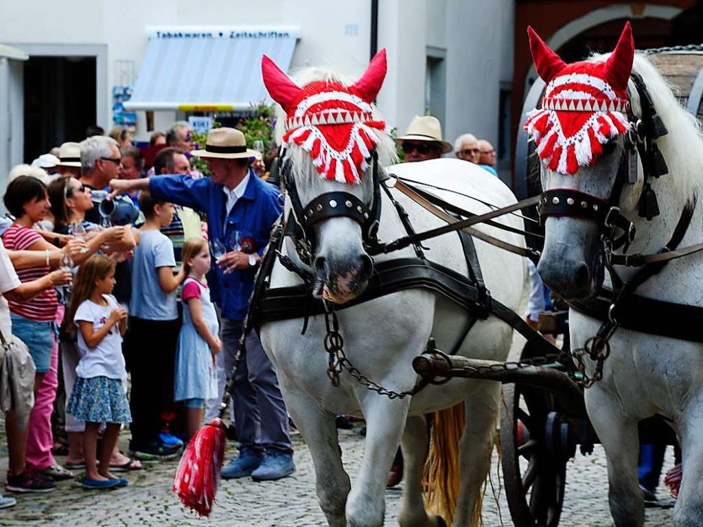 Mit Umzug und Krnung der neuen Markgrfler Weinprinzessin Jessica Himmelsbach ging es am Freitag los. Noch bis Montag hat das Weinfest in Staufen geffnet.