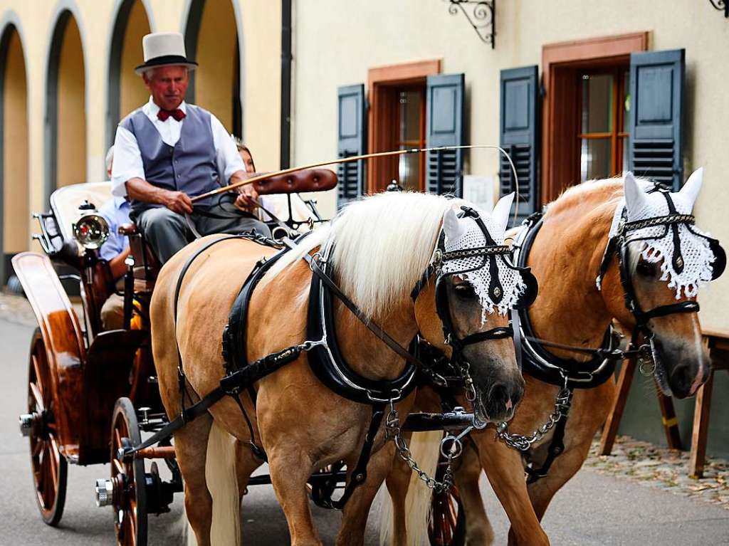 Mit Umzug und Krnung der neuen Markgrfler Weinprinzessin Jessica Himmelsbach ging es am Freitag los. Noch bis Montag hat das Weinfest in Staufen geffnet.