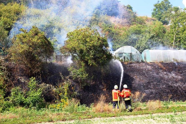 Die Feuerwehr Eichstetten beim Lschen des Vegetationsbrandes  | Foto: Horst David