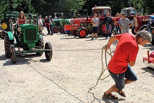 Stelldichein fr Fans von Traktoren