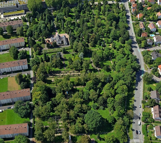 Grne Insel mitten in der Oststadt und...rd seit 2006 ein Arboretum aufgebaut.   | Foto: Ralf Burgmaier