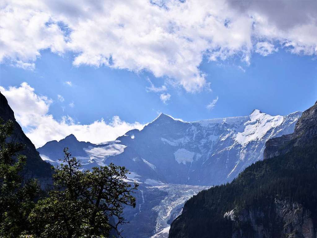 Mit drei Bussen ging es in die Erlebnisregion GrindelwaldFirst auf 2168 Metern Hhe mit Gipfelrundgang auf dem First Cliff Walk und beeindruckenden Ausblicken auf das Alpenpanorama der Jungfrau-Region.