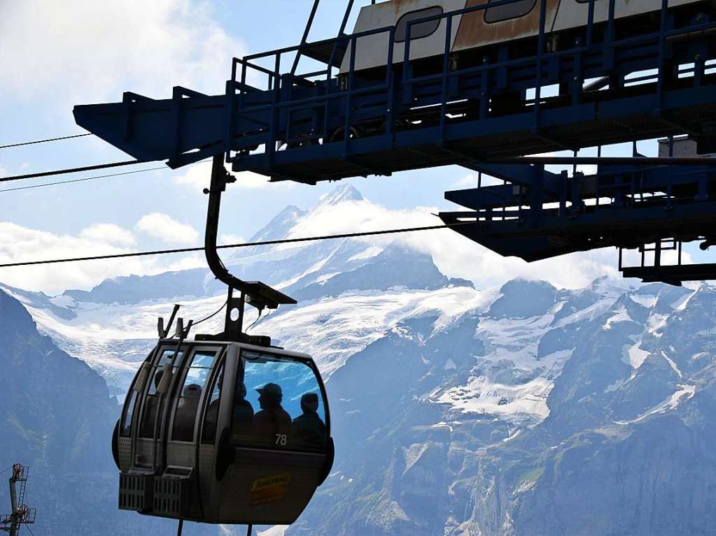 Mit drei Bussen ging es in die Erlebnisregion GrindelwaldFirst auf 2168 Metern Hhe mit Gipfelrundgang auf dem First Cliff Walk und beeindruckenden Ausblicken auf das Alpenpanorama der Jungfrau-Region.