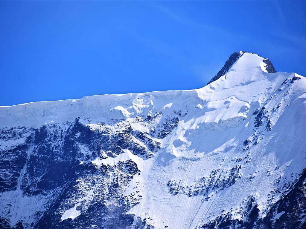 Mit drei Bussen ging es in die Erlebnisregion GrindelwaldFirst auf 2168 Metern Hhe mit Gipfelrundgang auf dem First Cliff Walk und beeindruckenden Ausblicken auf das Alpenpanorama der Jungfrau-Region.