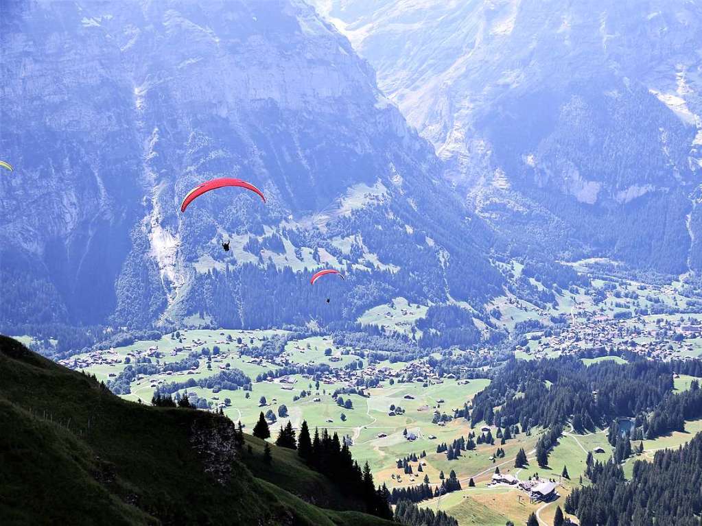 Mit drei Bussen ging es in die Erlebnisregion GrindelwaldFirst auf 2168 Metern Hhe mit Gipfelrundgang auf dem First Cliff Walk und beeindruckenden Ausblicken auf das Alpenpanorama der Jungfrau-Region.