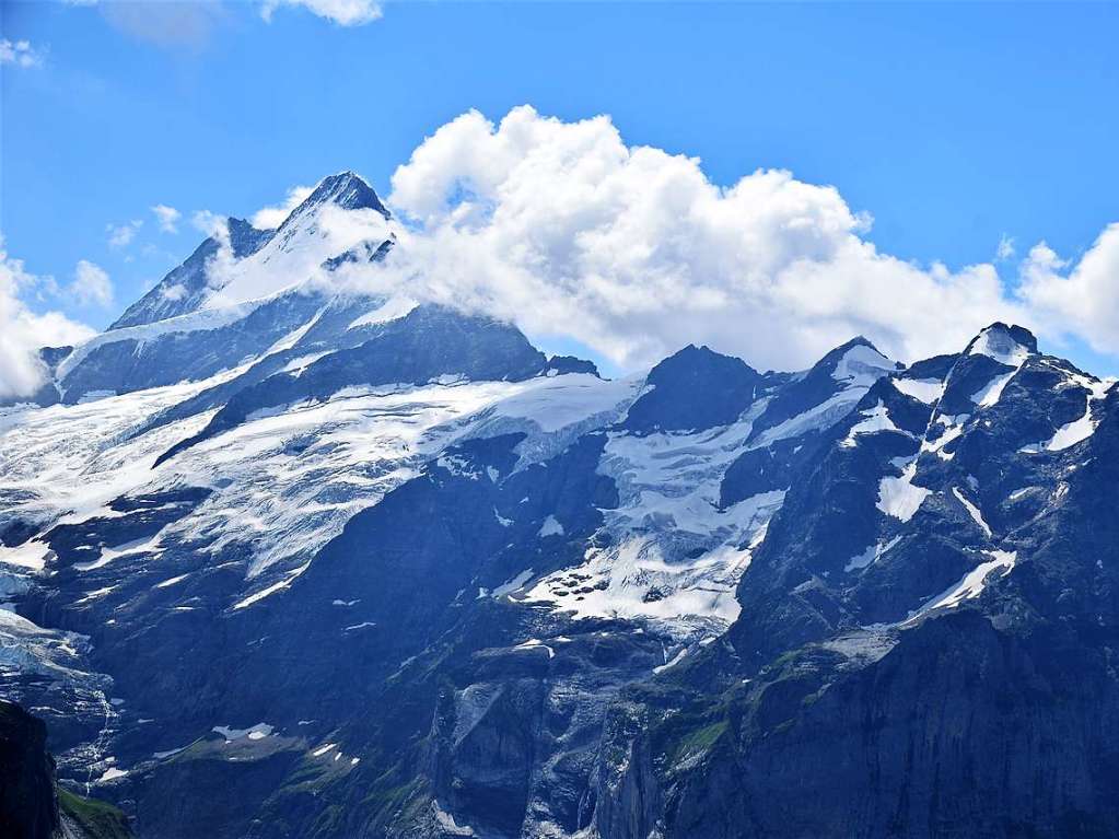 Mit drei Bussen ging es in die Erlebnisregion GrindelwaldFirst auf 2168 Metern Hhe mit Gipfelrundgang auf dem First Cliff Walk und beeindruckenden Ausblicken auf das Alpenpanorama der Jungfrau-Region.