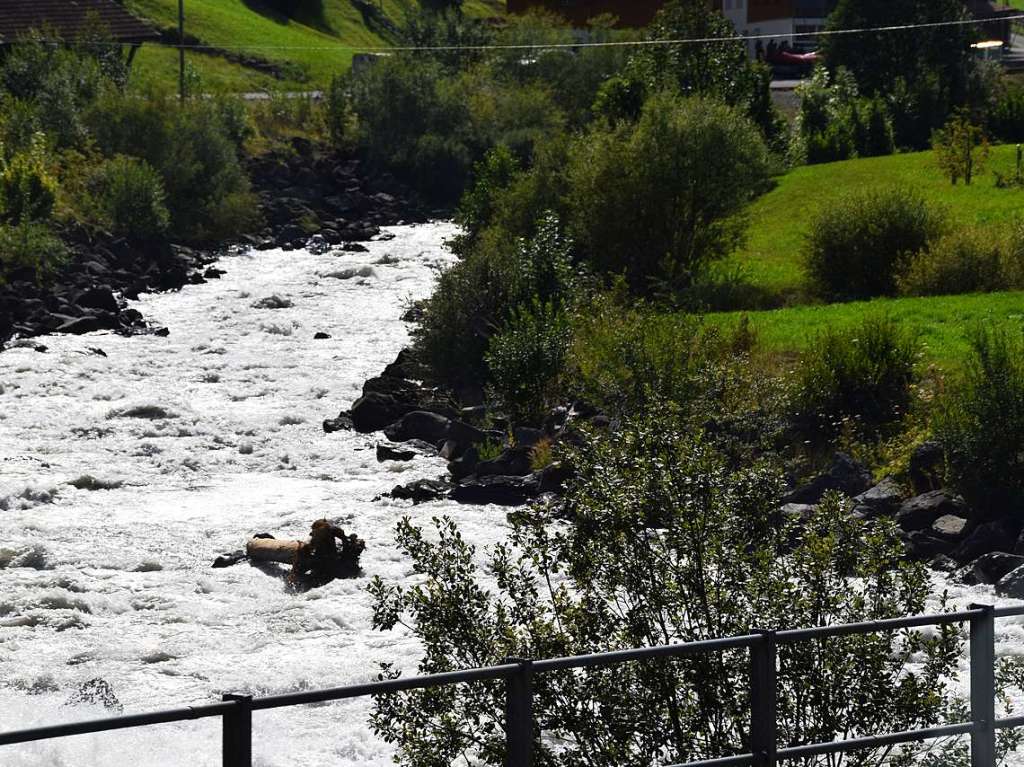 Mit drei Bussen ging es in die Erlebnisregion GrindelwaldFirst auf 2168 Metern Hhe mit Gipfelrundgang auf dem First Cliff Walk und beeindruckenden Ausblicken auf das Alpenpanorama der Jungfrau-Region.