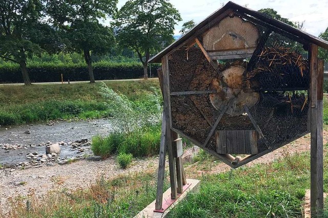 Das beschdigte Insektenhotel an der Dreisam  | Foto: Carolin Buchheim
