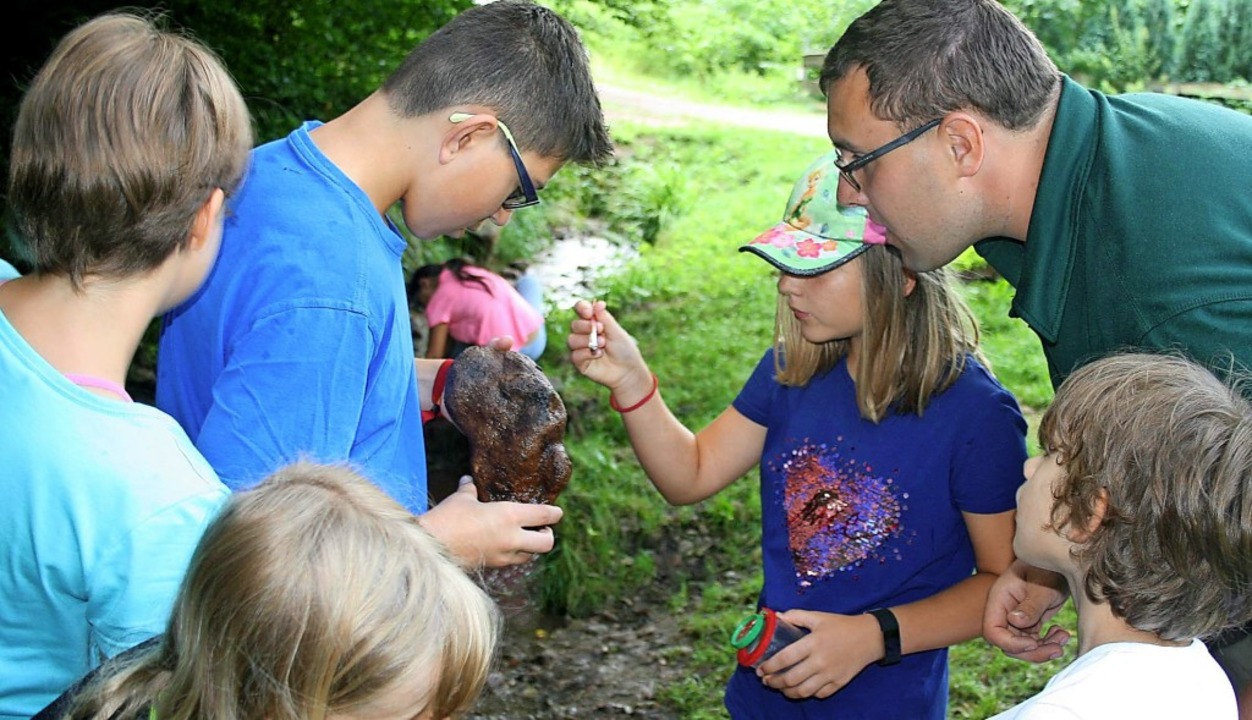 Mit Revierfrster Stefan Niefenthaler ...nspa-Kinder im Rahmen der Waldwoche.   | Foto: Ralph Lacher