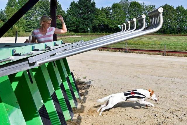 Fotos: BZ-Ferienaktion beim Windhundrennverein Breisgau-Schwarzwald