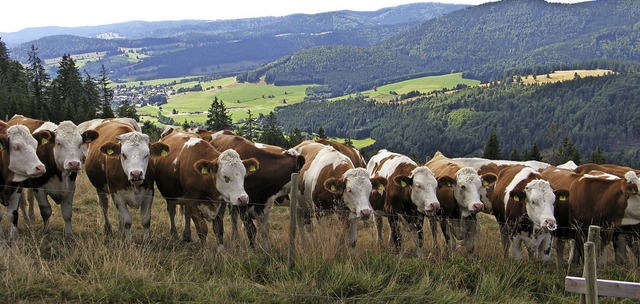 Landschaftspfleger, Touristenattraktio...in Bernau organisierte Veranstaltung.   | Foto: Ulrike Spiegelhalter