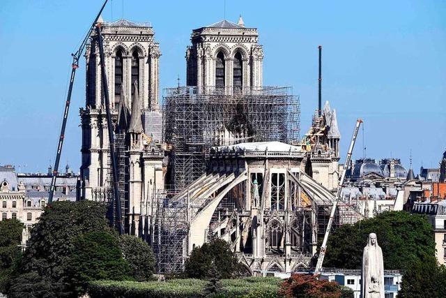 Das giftige Erbe von Notre-Dame