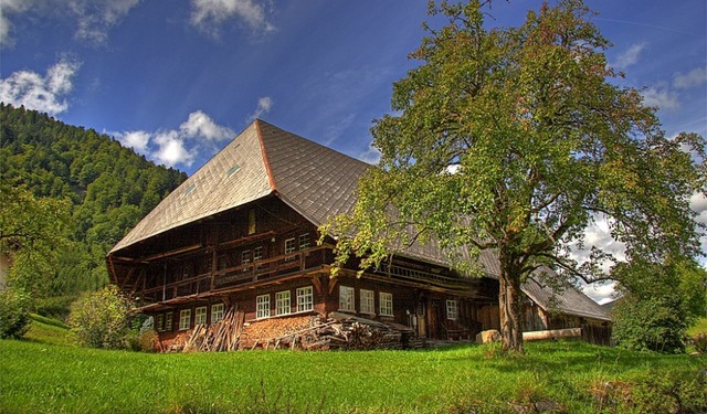 Ein typisches Schwarzwaldhof mit  weit heruntergezogenem Dach   | Foto: Christoph Wasmer (Naturpark Sdschwarzwald)