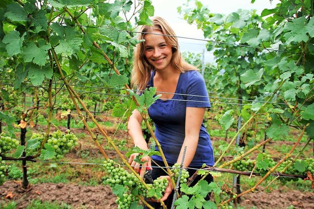 Die  Markgrfler Weinprinzessin Jessica Himmelsbach bei der Arbeit im Weinberg.  | Foto: Sabine Model