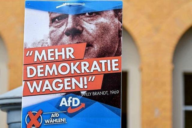 AfD wirbt in Brandenburg mit Willy Brandt – SPD reagiert empört