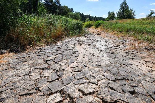 Deutschlands Strke fr den Klimaschutz nutzen