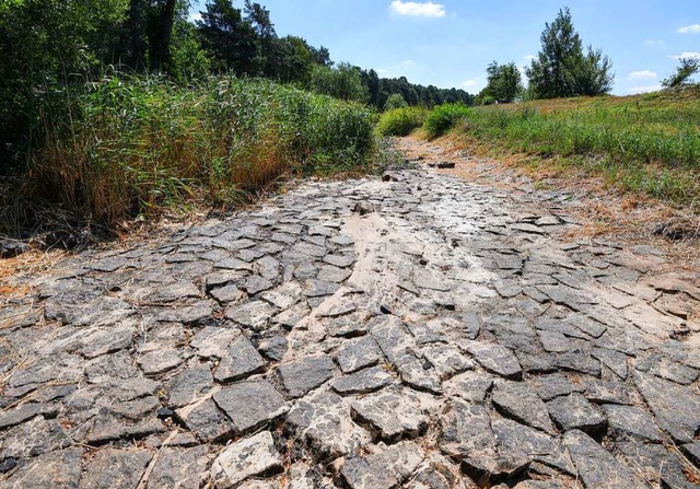 Hier herrscht Wassermangel: ein ausgetrocknetes Flussbett in Brandenburg.  | Foto: Patrick Pleul (dpa)