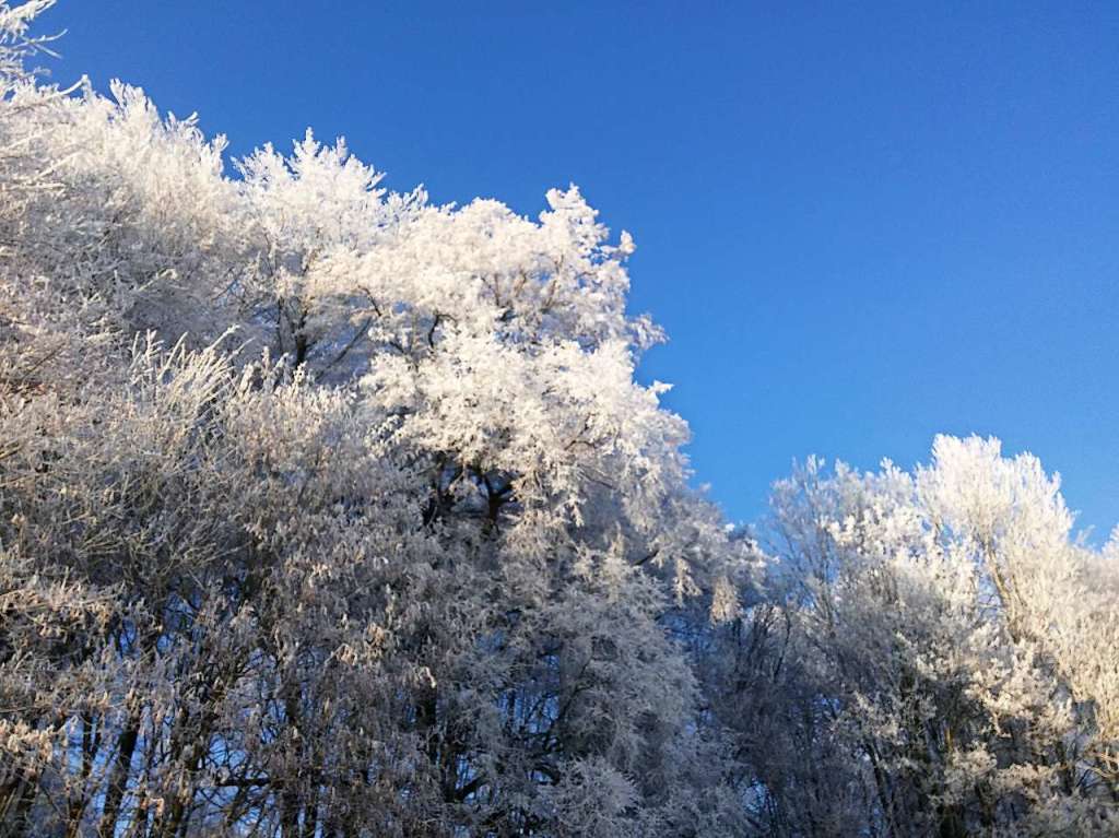 Dieses Foto wurde am Morgen des 1. Januar 2017 auf dem Tllinger aufgenommen. Es war unser erstes Silvester am neuen Wohnort und wir waren von diesem Anblick verzaubert.