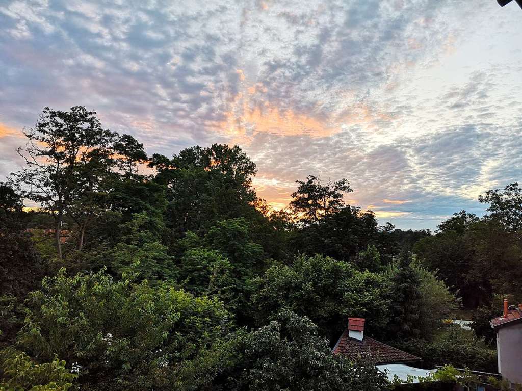 Dieses Bild wurde von unserer Terrasse in Eimeldingen aufgenommen.