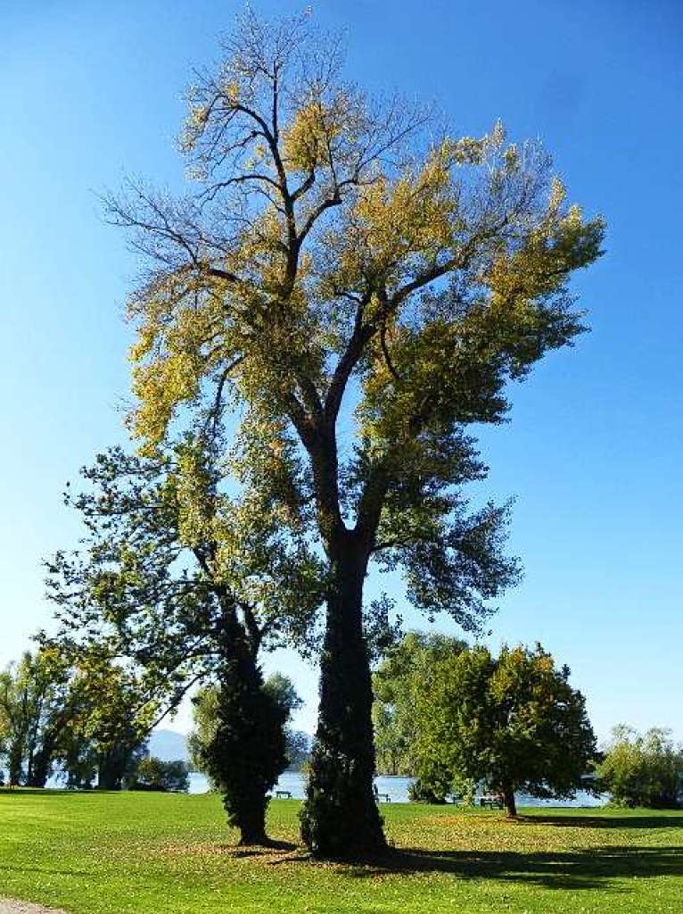 Aufgenommen am Chiemsee.